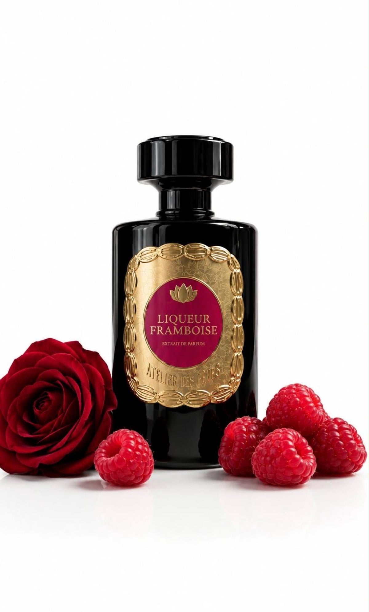 Atelier des Fèves : la parfumerie de niche s’invite chez Evok Store