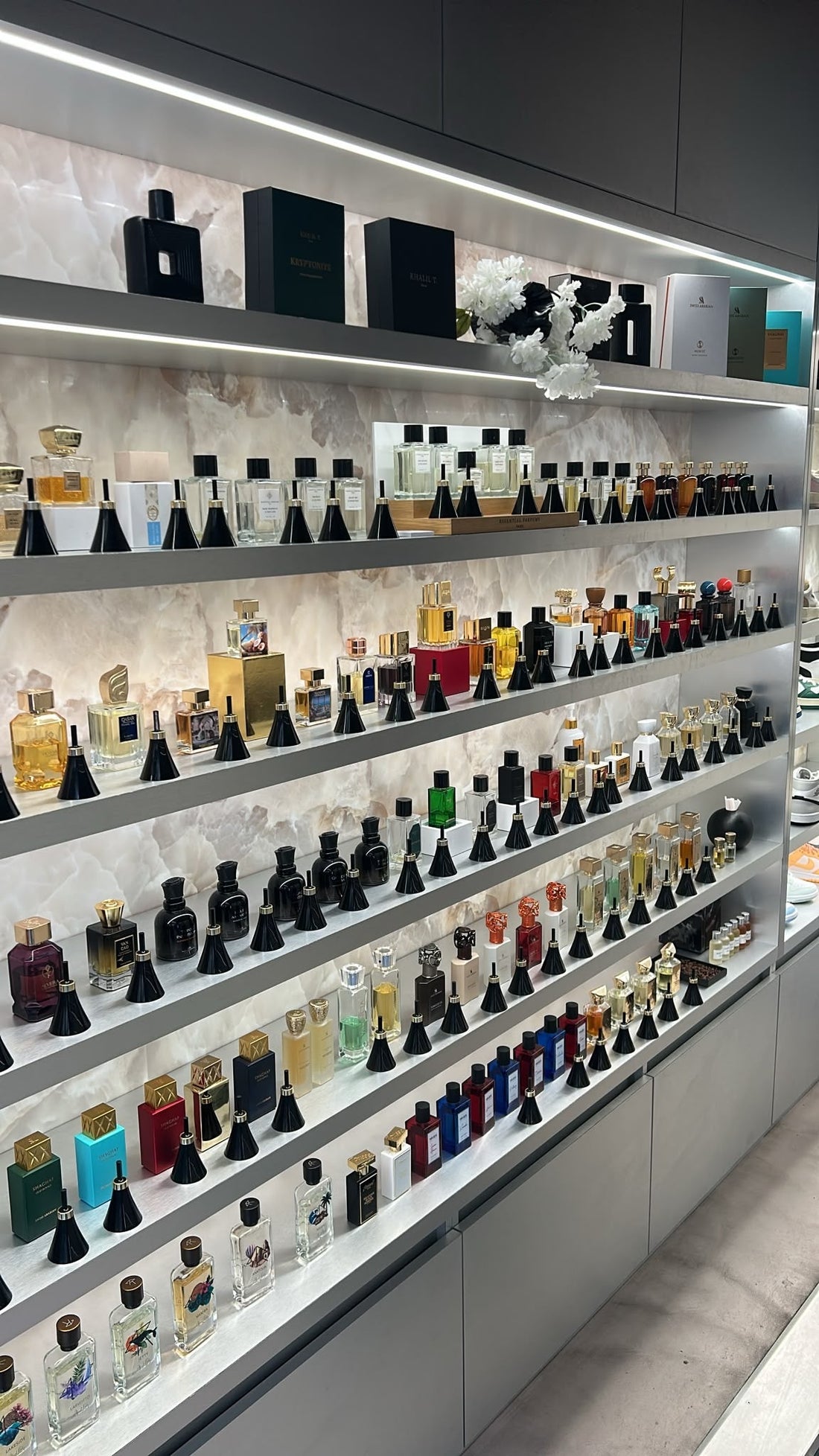 Parfums de niche 2026 — tendances olfactives et sélection Evok Store